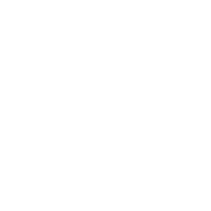 SIDE BtoB diffuser and distributor of books Import and Export